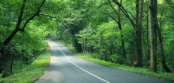 Photo of Niagara of India - Athirapilly falls! by Meghnaa Saaraswat