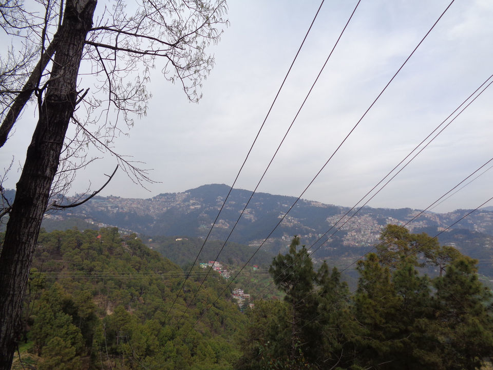 Photo of Delhi to Hatu Peek Narkanda on Bike 30/272 by Sangam Mishra