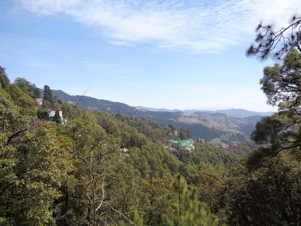 Photo of Delhi to Hatu Peek Narkanda on Bike 76/272 by Sangam Mishra