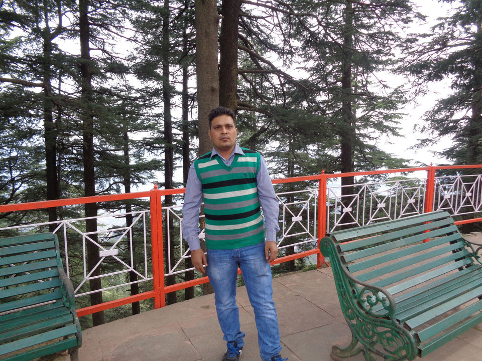 Photo of Delhi to Hatu Peek Narkanda on Bike 106/272 by Sangam Mishra