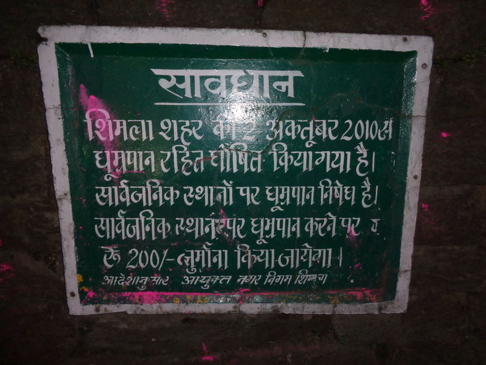 Photo of Delhi to Hatu Peek Narkanda on Bike 139/272 by Sangam Mishra