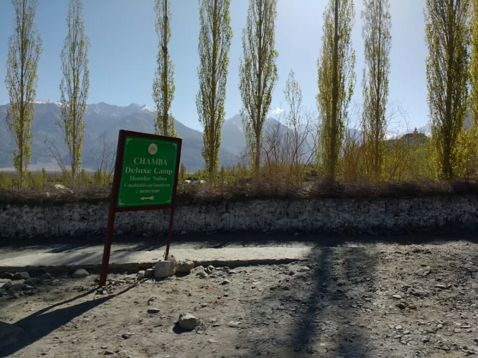 Photo of Charismatic.... NubraValley by Harish Bhatt