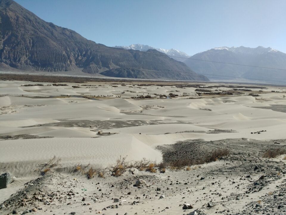 Photo of Charismatic.... NubraValley by Harish Bhatt