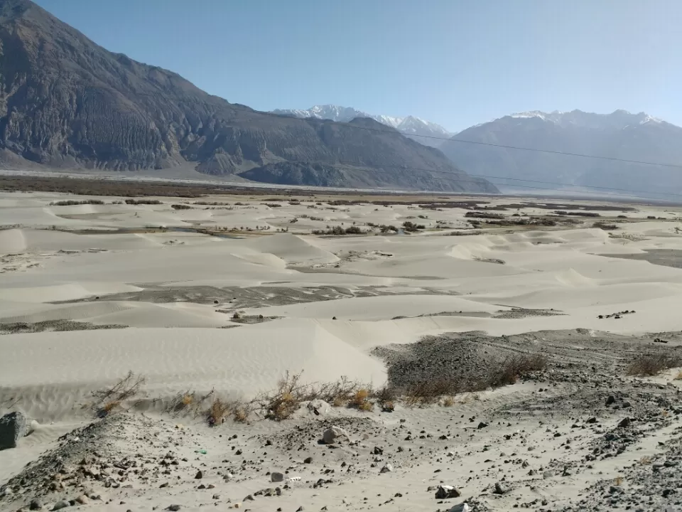 Photo of Charismatic.... NubraValley by Harish Bhatt
