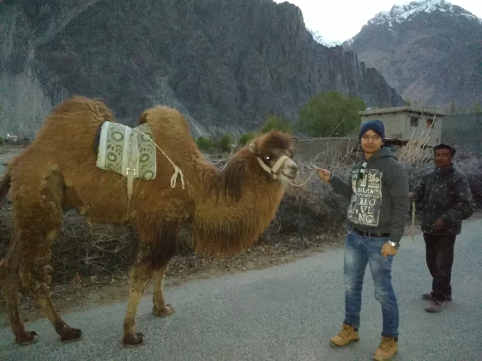 Photo of Charismatic.... NubraValley by Harish Bhatt
