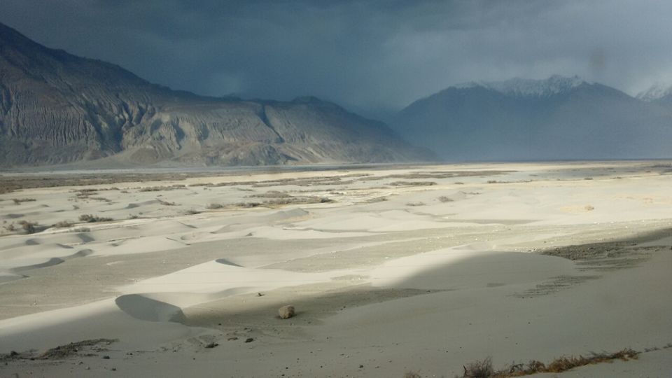 Photo of Charismatic.... NubraValley by Harish Bhatt