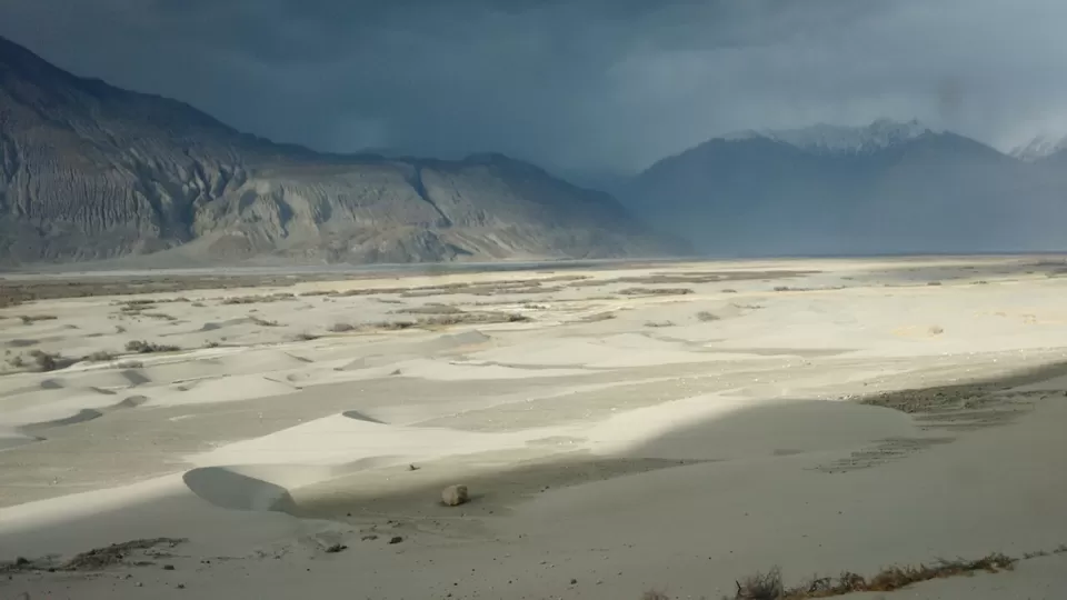 Photo of Charismatic.... NubraValley by Harish Bhatt
