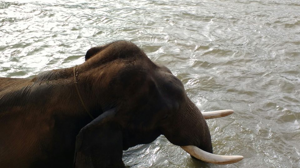 Photo of Karnataka tour(clean & beautiful Bangalore) by Harish Bhatt
