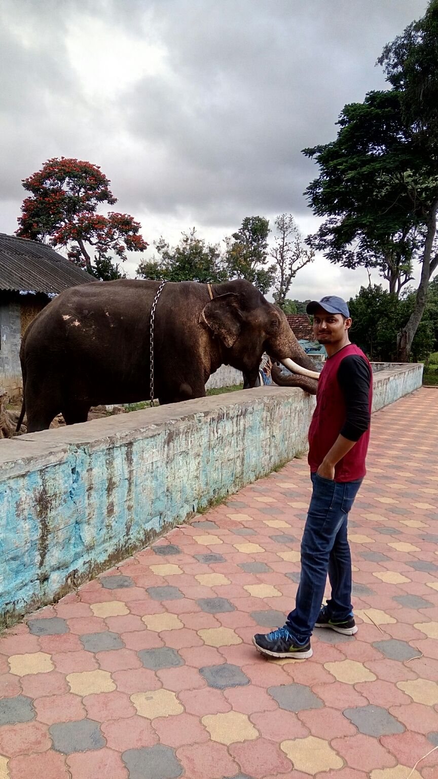 Photo of Karnataka tour(clean & beautiful Bangalore) by Harish Bhatt
