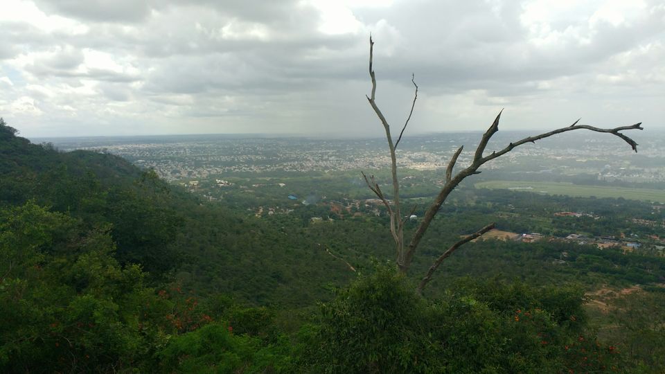 Photo of Karnataka tour(clean & beautiful Bangalore) by Harish Bhatt