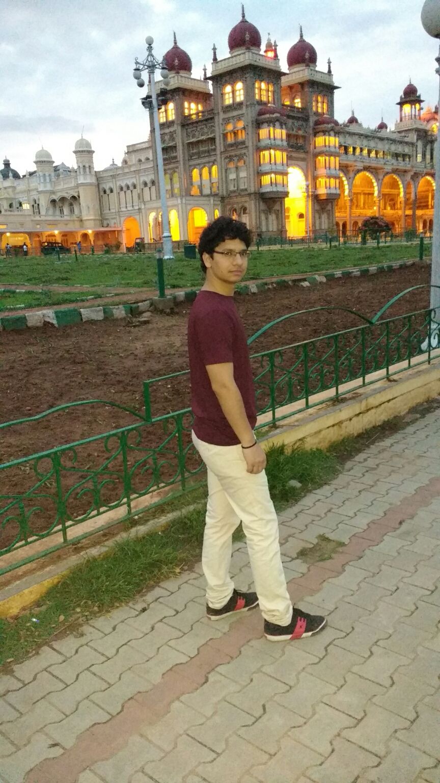 Photo of Karnataka tour(clean & beautiful Bangalore) by Harish Bhatt
