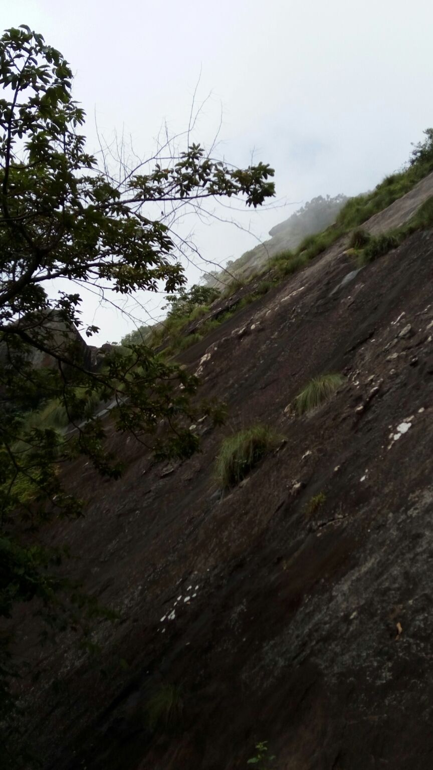 Photo of Karnataka tour(clean & beautiful Bangalore) by Harish Bhatt