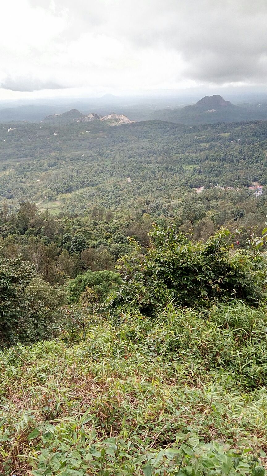 Photo of Karnataka tour(clean & beautiful Bangalore) by Harish Bhatt