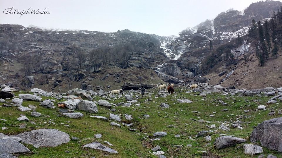 Photo of Explore The Clichéd Rohtang The Un-clichéd Way 37/41 by The Punjabi Wanderer