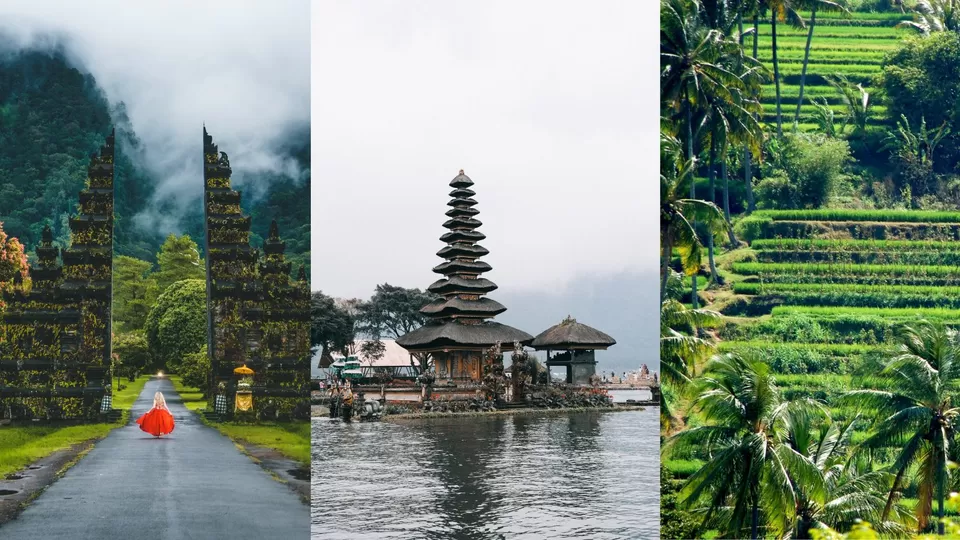 Photo of Ubud: The Most Realistic 3-Day Itinerary You’ll Ever Need by The Shy Secrets