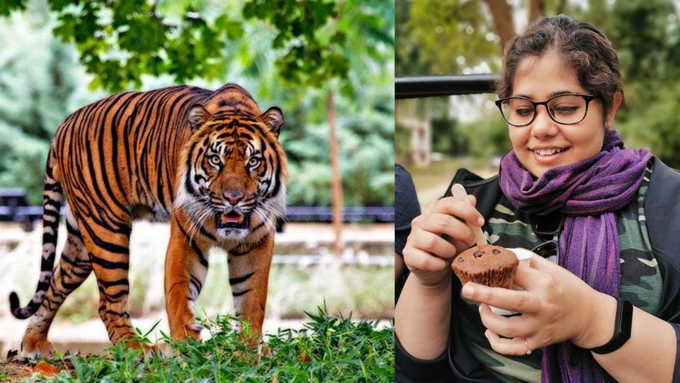 Photo of The five best places to eat in Jim Corbett Tiger Reserve by The Shy Secrets