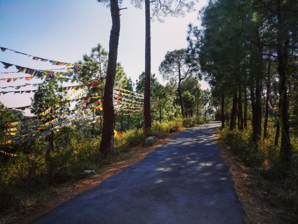 Photo of Bir, Himachal Pradesh, India by Mayank Manohar