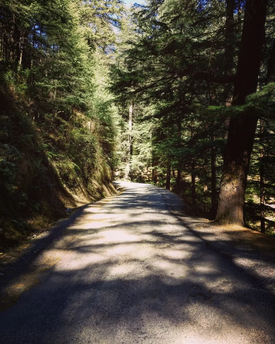 Photo of Bir, Himachal Pradesh, India by Mayank Manohar