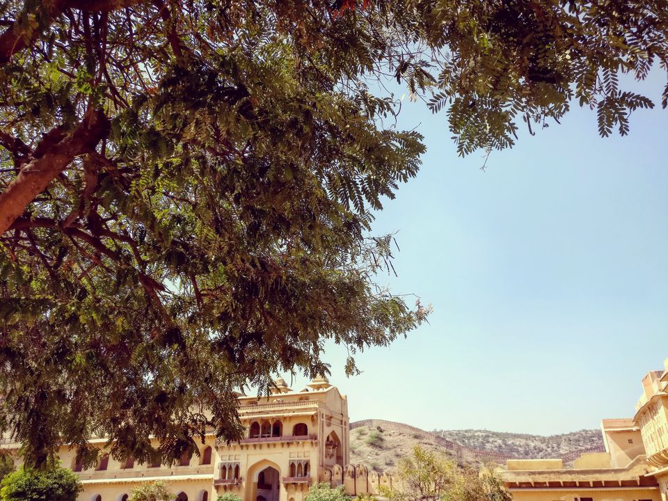 Photo of Jaipur, Rajasthan, India by Mayank Manohar