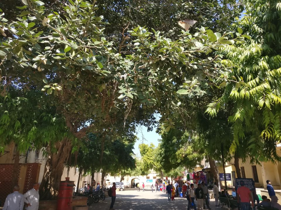 Photo of Jaipur, Rajasthan, India by Mayank Manohar