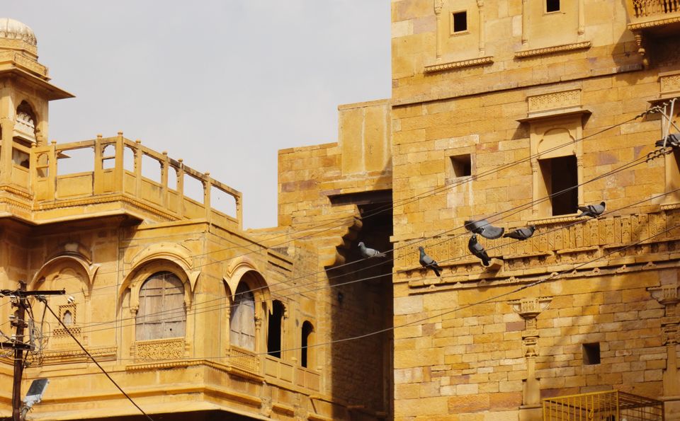 Photo of Rajasthan - A Royal Affair! 23/63 by Madhurima Dharchaudhuri