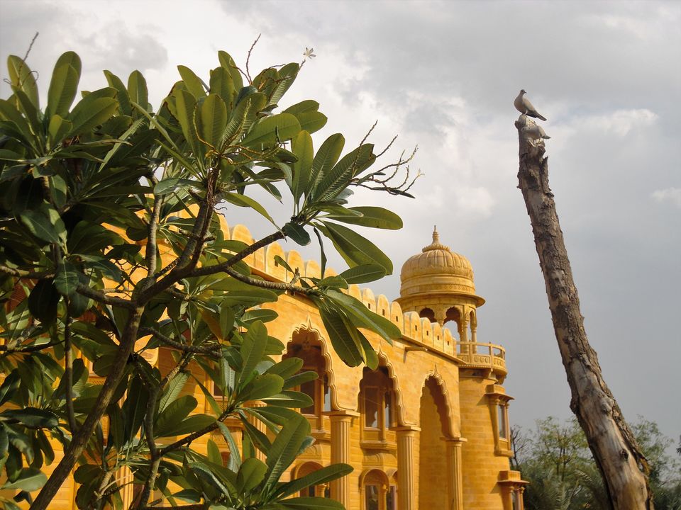 Photo of Rajasthan - A Royal Affair! 27/63 by Madhurima Dharchaudhuri