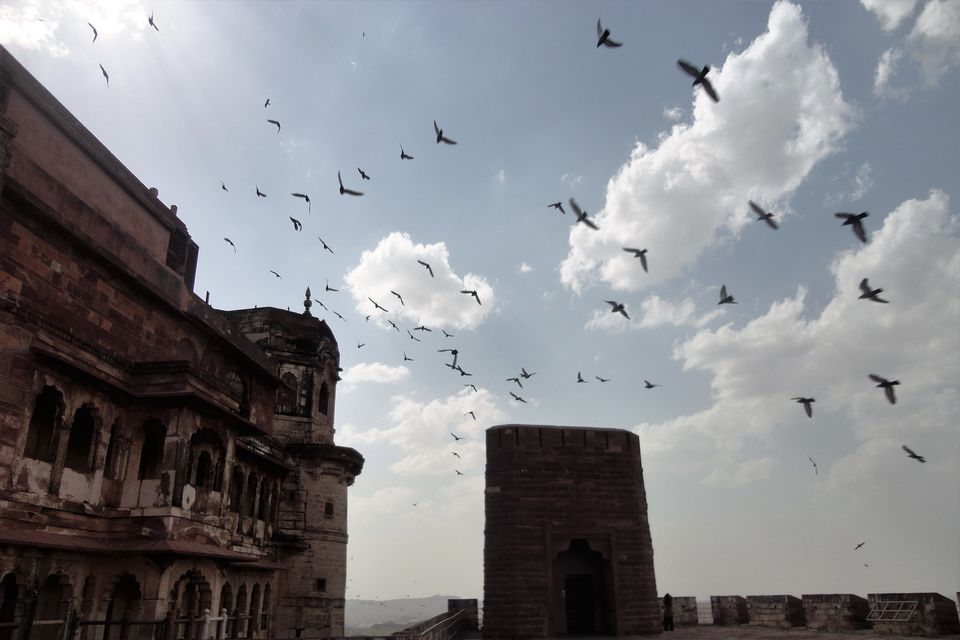 Photo of Rajasthan - A Royal Affair! 32/63 by Madhurima Dharchaudhuri