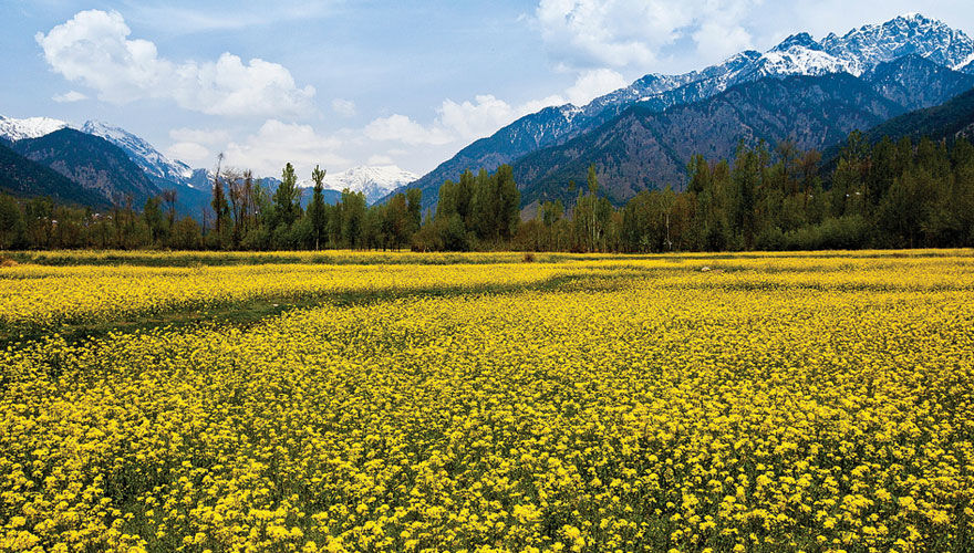 Photo of Indian Destinations That Look Like Foreign Places 10/12 by shalini K