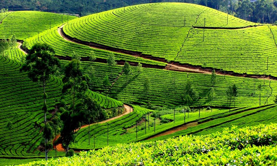 Photo of Five Cheapest Destinations to visit in India 5/11 by shalini K