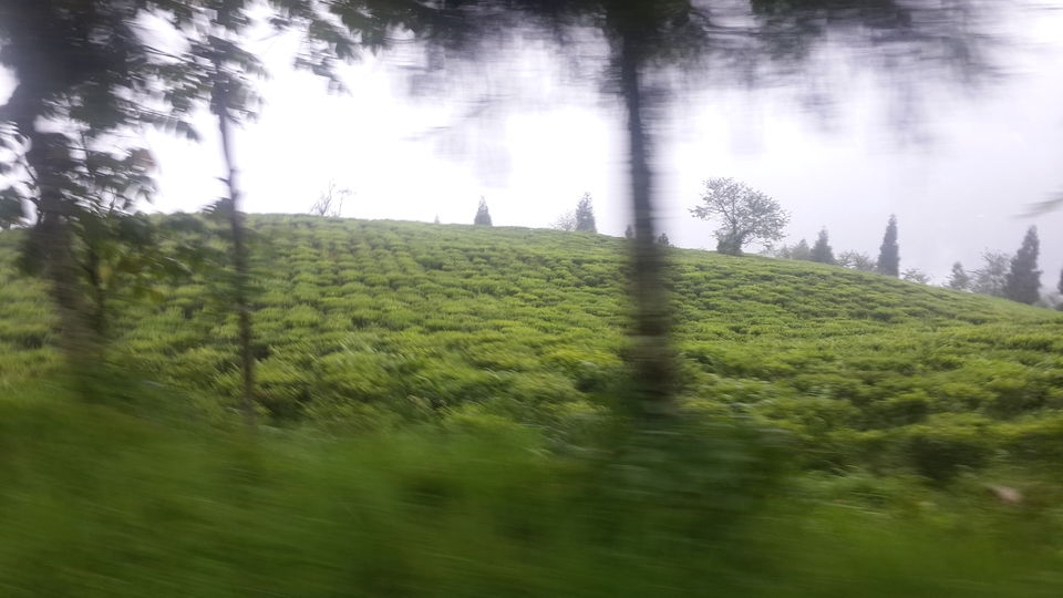 Photo of Backpacking Sikkim "It's only possible when the mountains calls you". 11/15 by VAGABOND