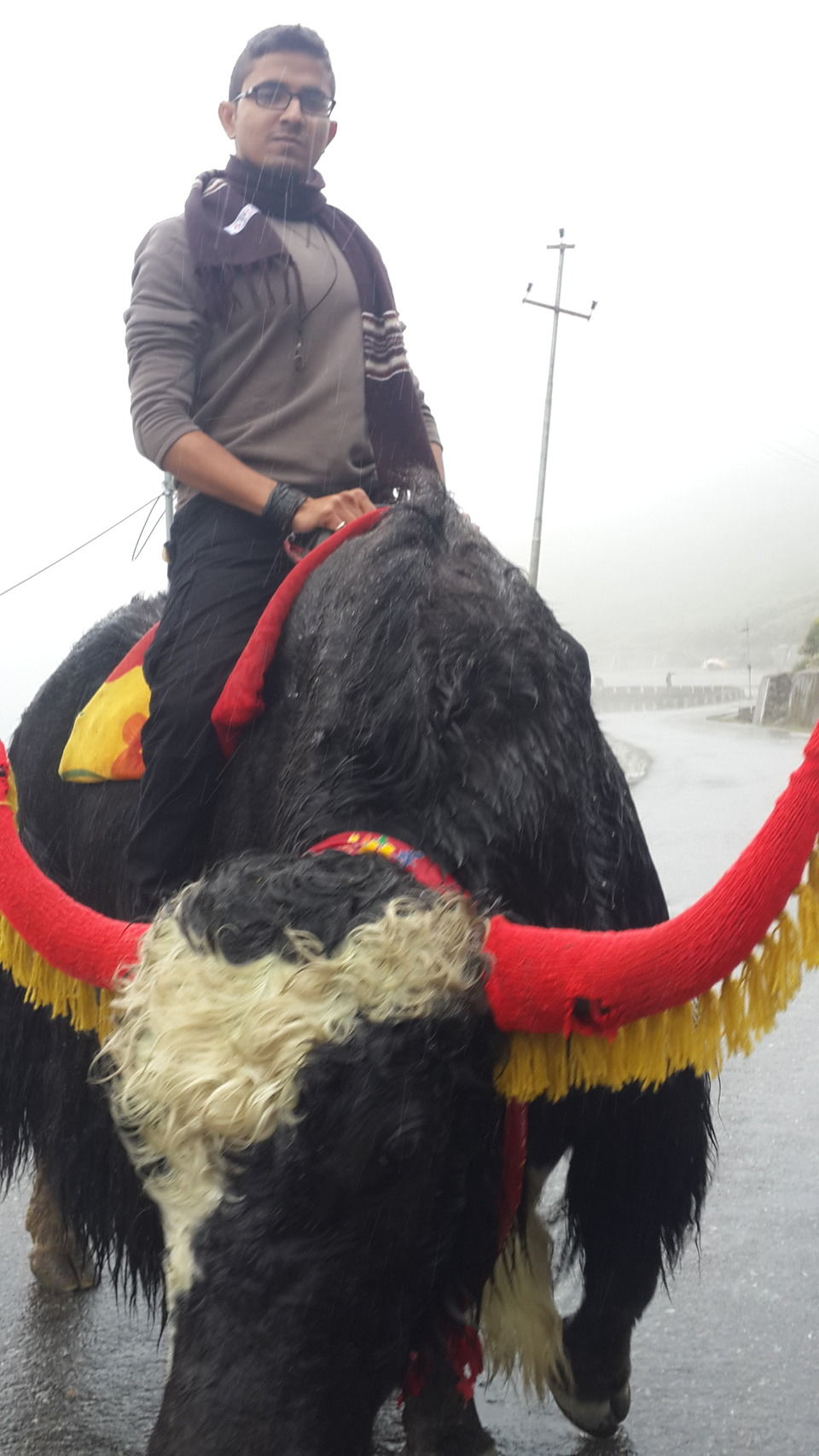 Photo of Backpacking Sikkim "It's only possible when the mountains calls you". by VAGABOND