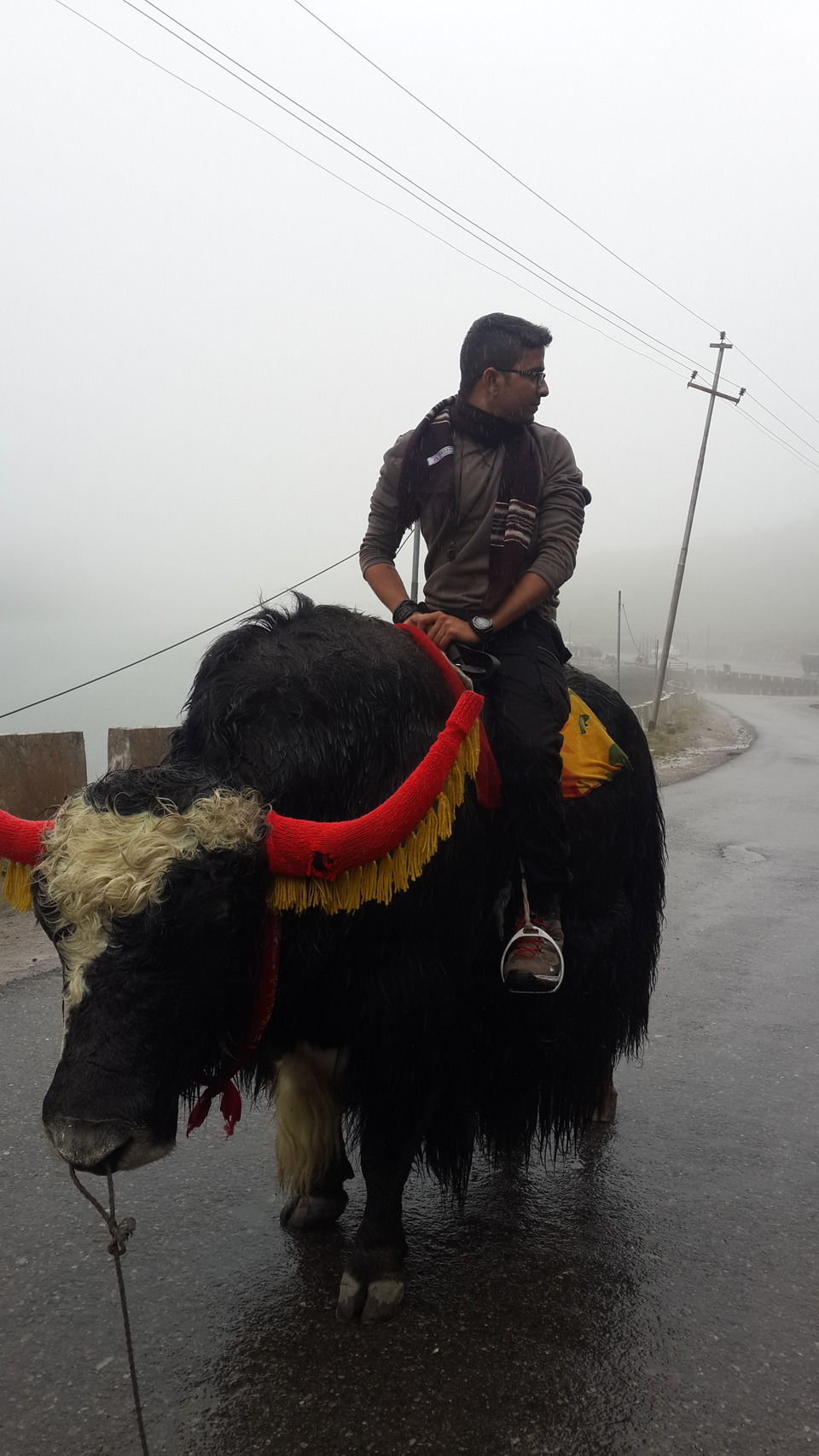 Photo of Backpacking Sikkim "It's only possible when the mountains calls you". by VAGABOND