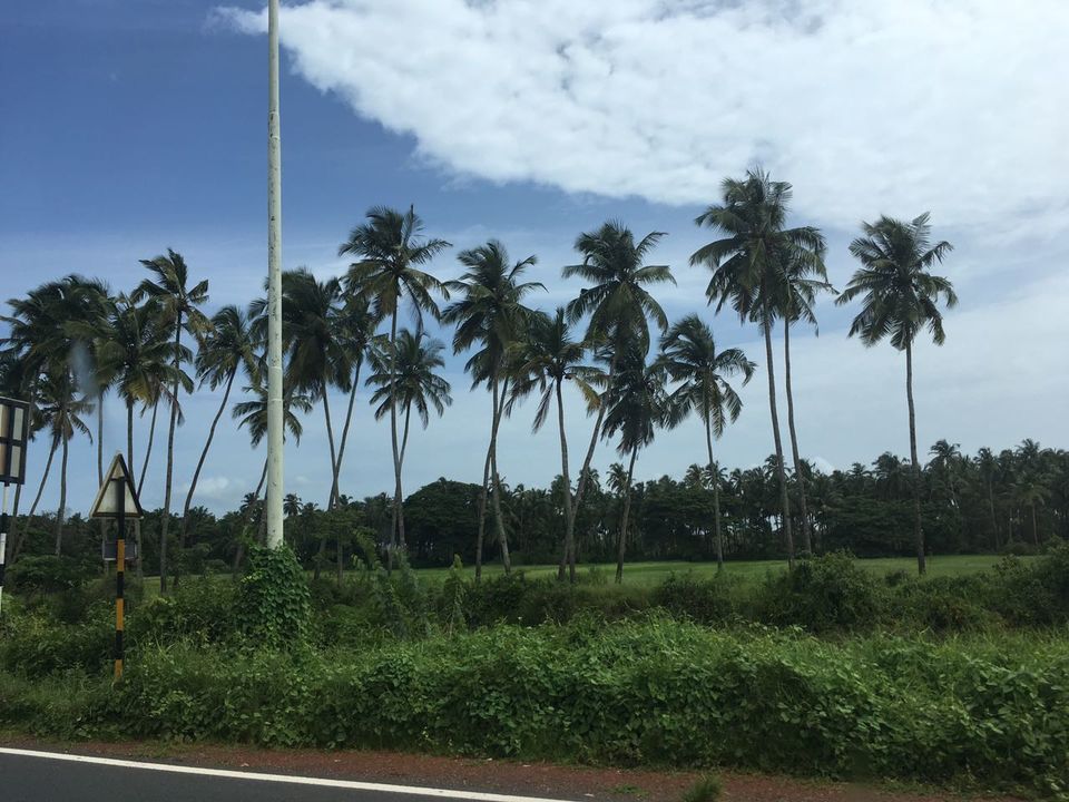 Photo of Goa!!! When nature calls by Abhishek Narang