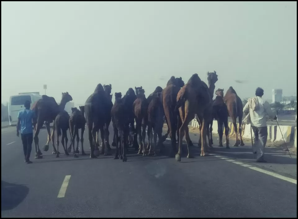 Photo of Manesar, National Highway 48, Gurugram, Haryana, India by Dheeraj Tanwar