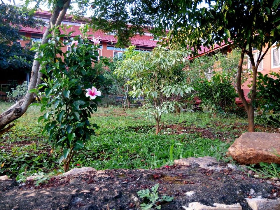 Photo of Home is where the heart is… 5/10 by Priyanka Dasa