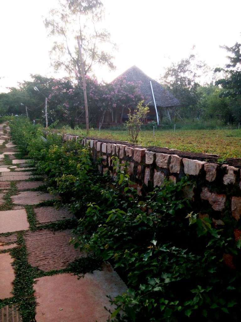 Photo of Home is where the heart is… 10/10 by Priyanka Dasa