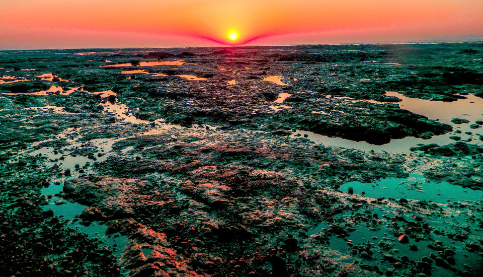 Photo of DAMAN Diaries! by Swapnil Saraf
