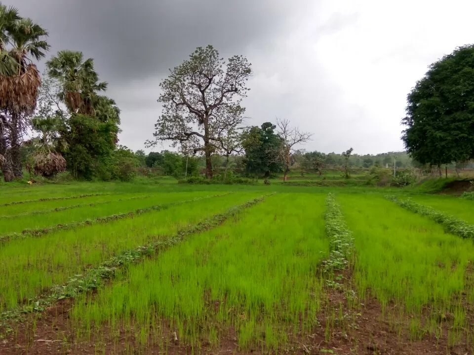 Photo of Day trip to Kevdi by Charmi Jogani