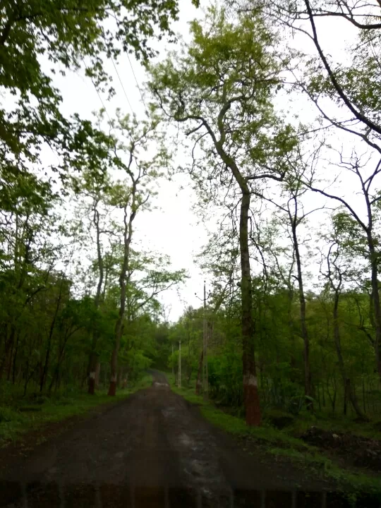 Photo of Day trip to Kevdi by Charmi Jogani