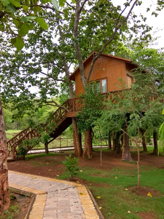Photo of Day trip to Kevdi by Charmi Jogani