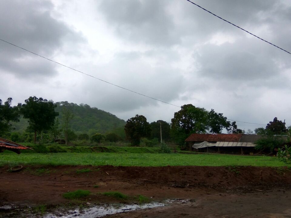 Photo of Day trip to Kevdi by Charmi Jogani