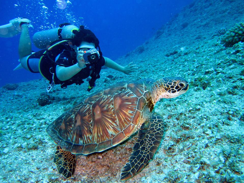 Photo of 6 Must-Do Activities In Bali Indonesia - Nomadic Foot 6/7 by Nomadic Foot