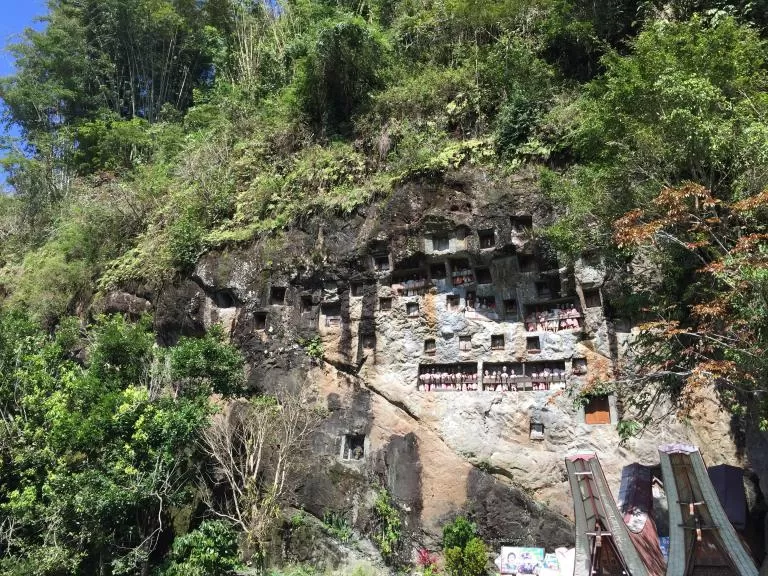 Photo of Lemo, Tana Toraja, South Sulawesi, Indonesia by Tamshuk