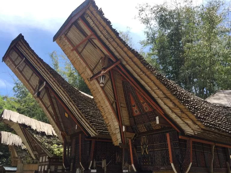 Photo of Tana Toraja, South Sulawesi, Indonesia by Tamshuk