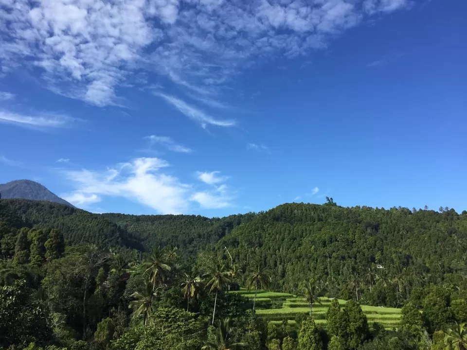 Photo of Rice Terrace Munduk, Munduk, Buleleng Regency, Bali, Indonesia by Tamshuk