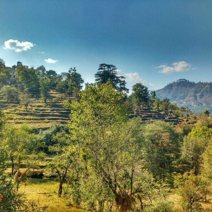 Photo of Kausani unplugged by Pranav Tyagi