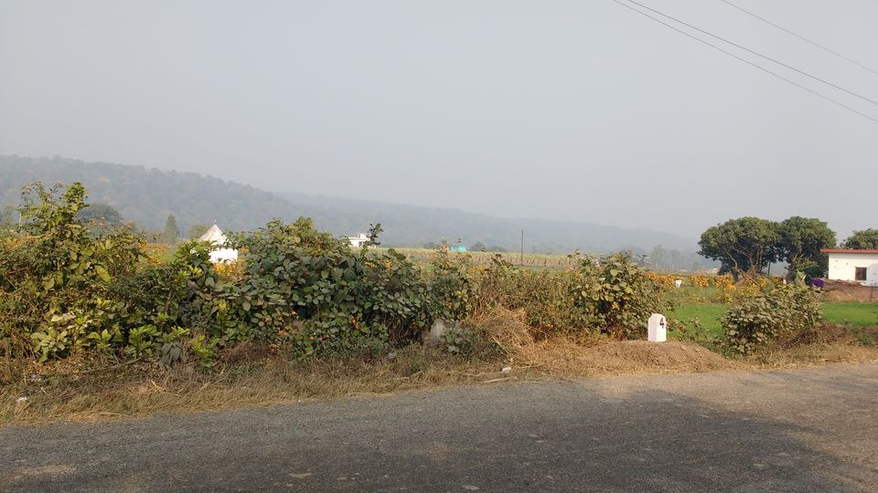 Photo of Runaway to Ramnagar by Pranav Tyagi