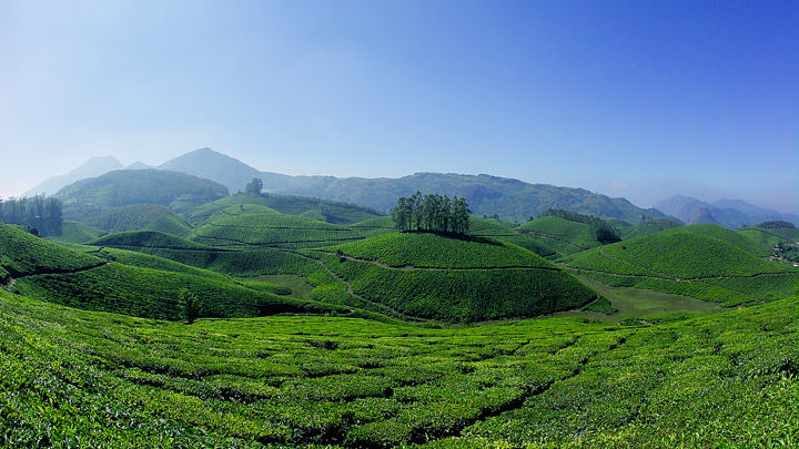 Photo of Amongst the clouds I stood - A day in munnar 1/2 by Ananthu S B