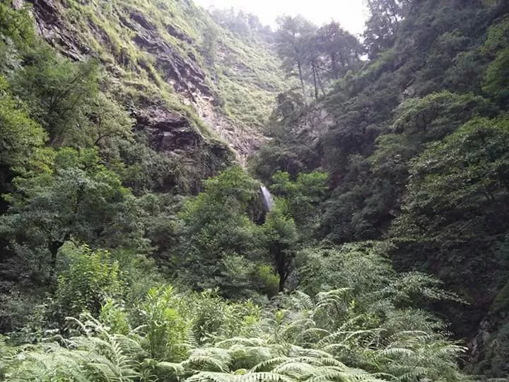 Photo of Tirthan valley aka Trout valley by Anjali Manhas