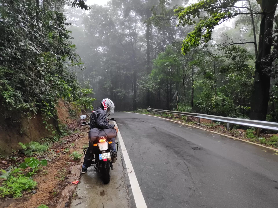 Photo of Keriti Reserve Forest, Makutta Range, Heggala, Karnataka, India by Rajen Joshi